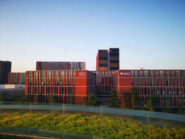 广西小型雨林缸制作