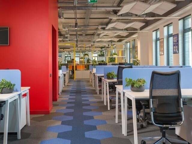 蓬溪DHA藻油招商