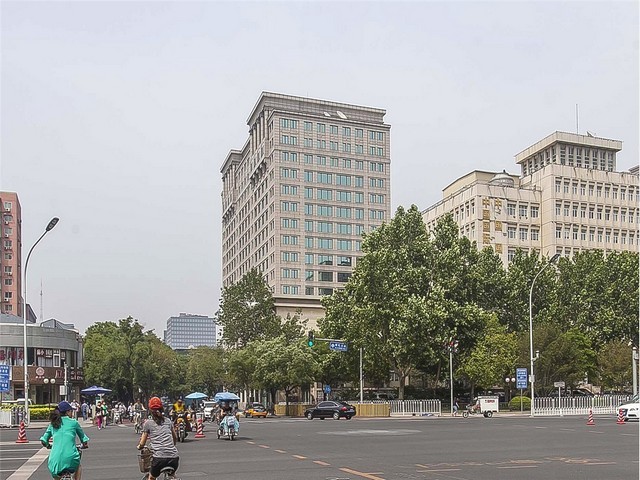 湖南动物皮皮带价格