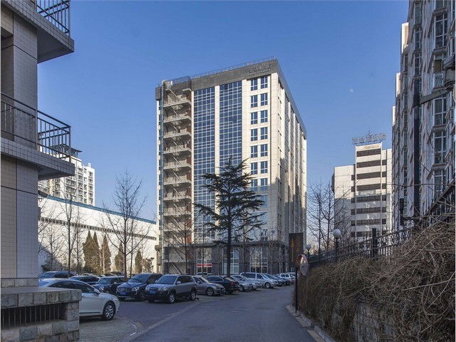 浙江不褪色塑料绿植哪家好